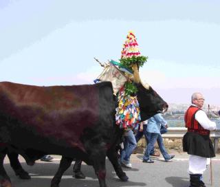 Immagine allegata alla scheda. Per averne una descrizione leggere i dettagli più in basso.